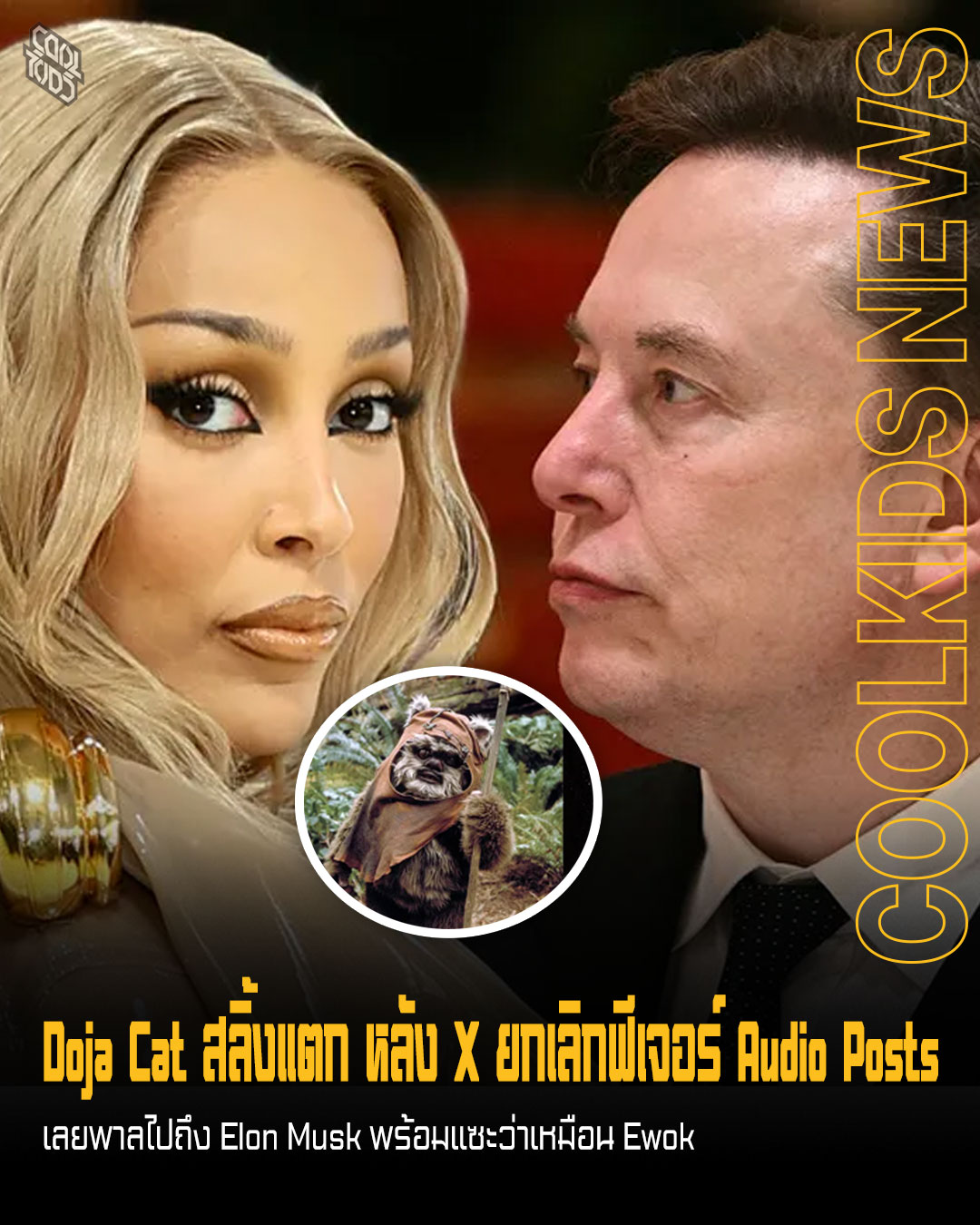 Doja Cat สลิ้งแตก หลัง X ยกเลิกฟีเจอร์ Audio Posts